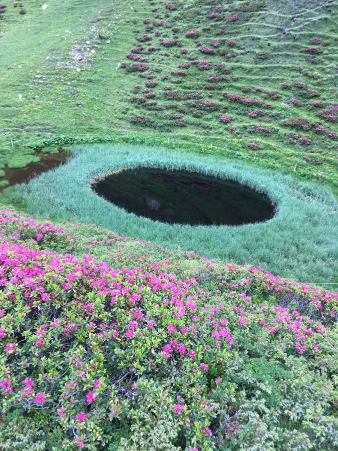 Fürhapter Mit Bio- Bauernhof Bauernhof