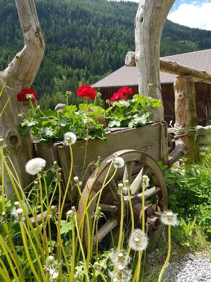Farma Fuerhapter Mit Bio- Bauernhof *