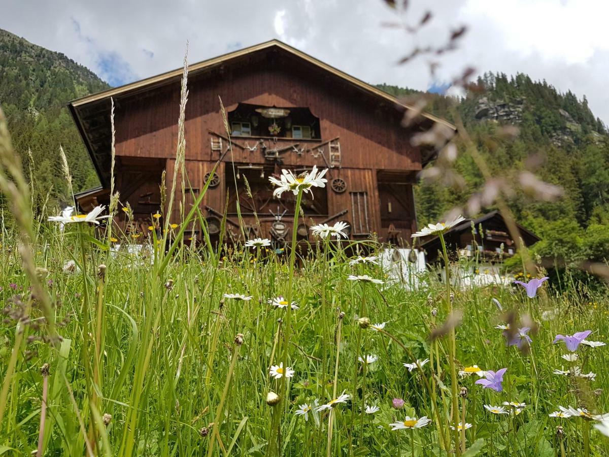 Fürhapter Mit Bio- Bauernhof *
