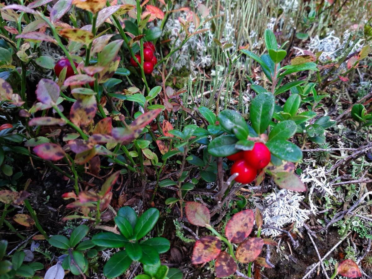 Fürhapter Mit Bio- Bauernhof *
