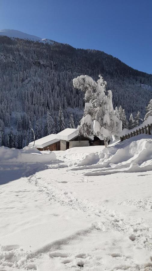 Farma Fuerhapter Mit Bio- Bauernhof *